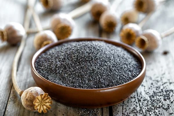 Turkey's Poppy Seed Exports Plummet to $49M by 2023